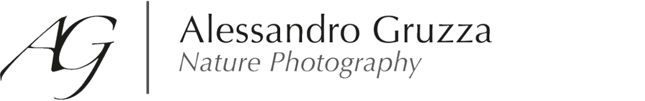 alessandro-gruzza-logo