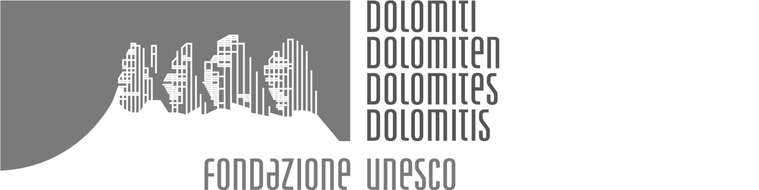 fondazione-dolomiti-logo